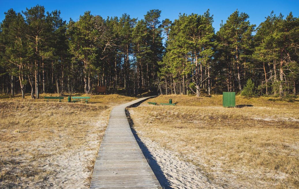 Engure Beach seaside area with a view of the forest