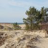 View of trees and the sea of the The Grey Dune in the South-Western Area of Ventspils