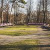 Parks ar violetiem soliem blakus Koncertdārzam 