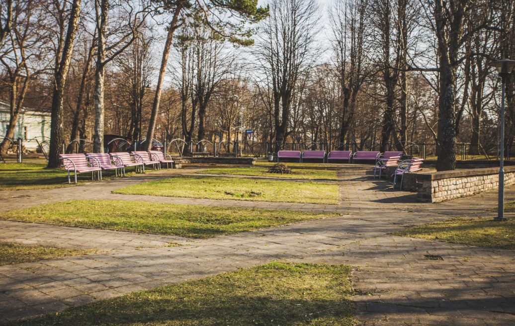 Parks ar violetiem soliem blakus Koncertdārzam 
