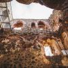 Dobele Castle Ruins from the inside