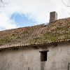 The roof of the Alsunga Castle covered with moss