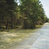 The road that leads past the Bernati nature trail