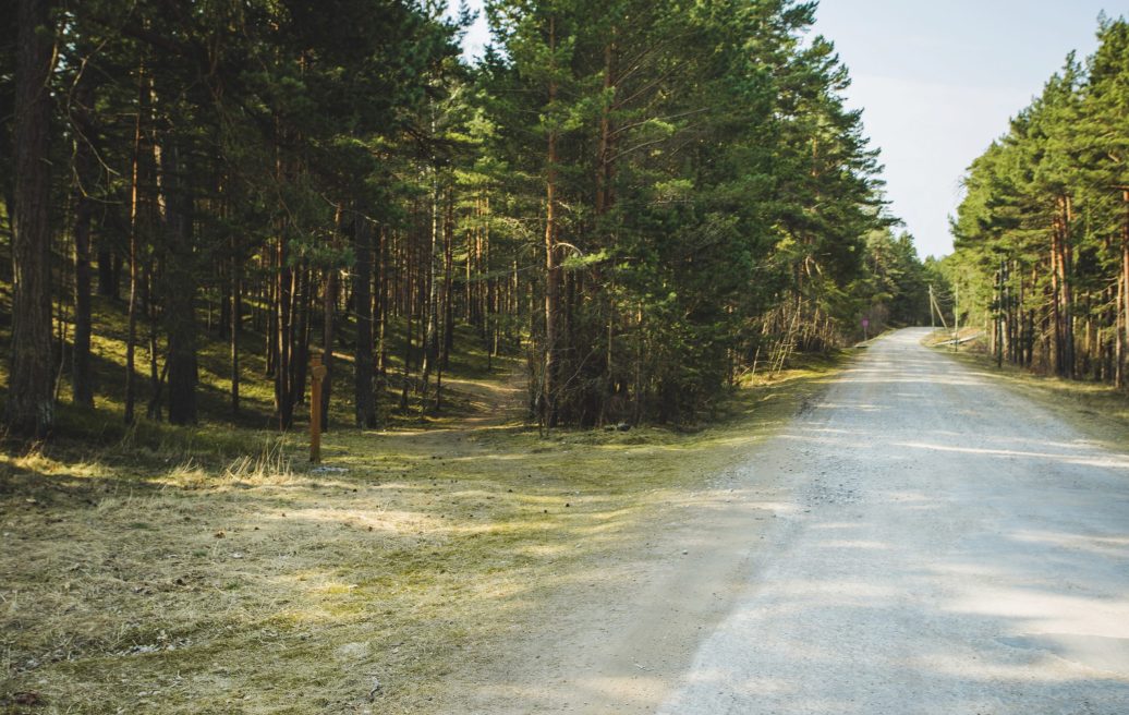 The road that leads past the Bernati nature trail