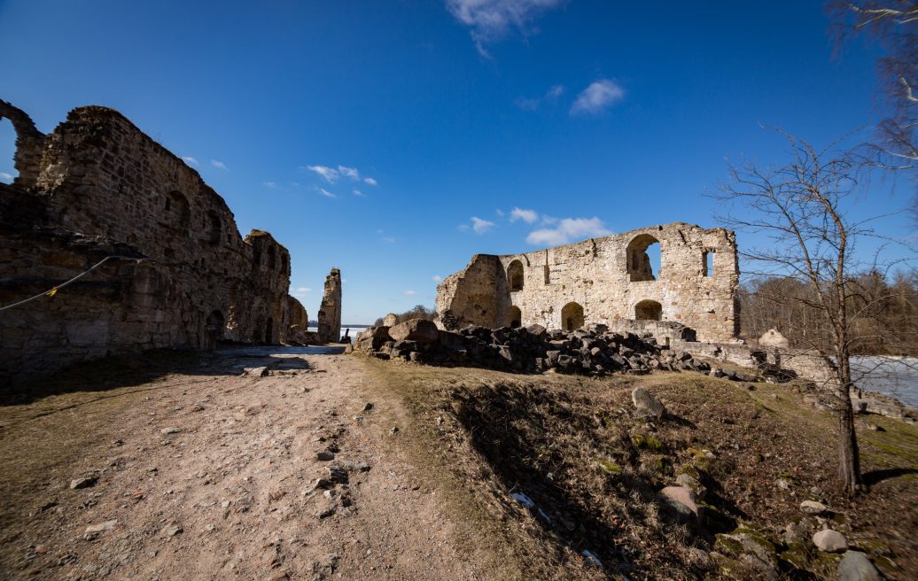 Koknese castle ruins - a view from a distance including almost the entire object