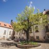 Dundagas Castle courtyard with a flower bed and a beautiful tree