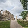 In the landscape of Koknese castle ruins, where there is green grass, a tree and a cloudy sky