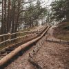 Bernati nature trail stairs