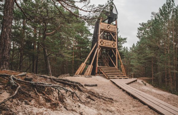 Bernātu dabas takas tornis mežā