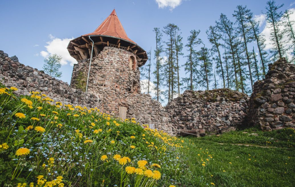 Northern Tower of Ērģeme Medieval Castle from the outside with a blue sky in the background