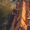 Cesvaine Castle roof