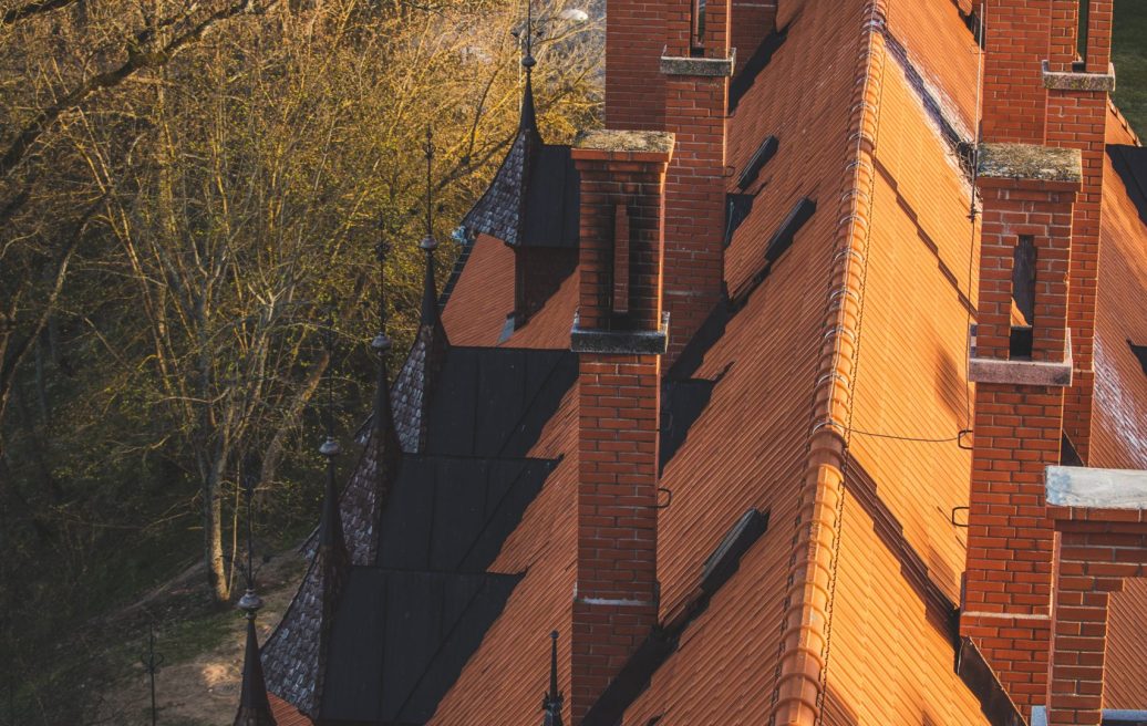 Cesvaine Castle roof