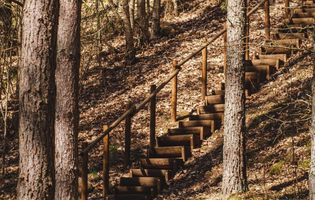 Farmstead Slutišķi 2 Constructed steps in the forest