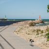 On the anti-flood promenade of Pavilosta, along with a dog