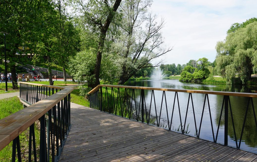 Elephant Street Park in Valmiera